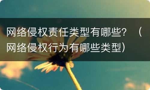 网络侵权责任类型有哪些？（网络侵权行为有哪些类型）