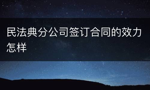 民法典分公司签订合同的效力怎样
