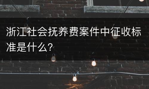 浙江社会抚养费案件中征收标准是什么？