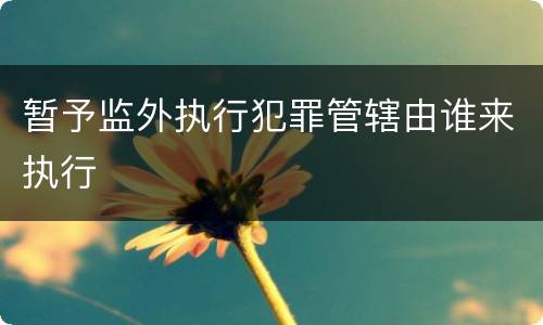 暂予监外执行犯罪管辖由谁来执行