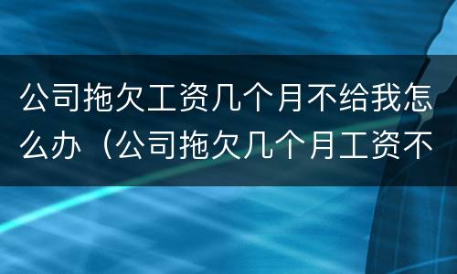 公司拖欠工资几个月不给我怎么办（公司拖欠几个月工资不发怎么办）