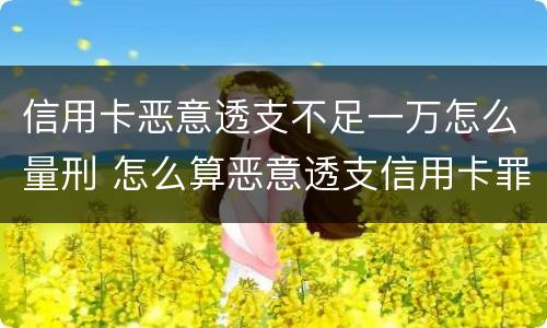 信用卡恶意透支不足一万怎么量刑 怎么算恶意透支信用卡罪 标准