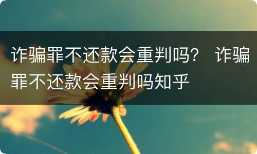 诈骗罪不还款会重判吗？ 诈骗罪不还款会重判吗知乎