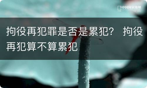 拘役再犯罪是否是累犯？ 拘役再犯算不算累犯
