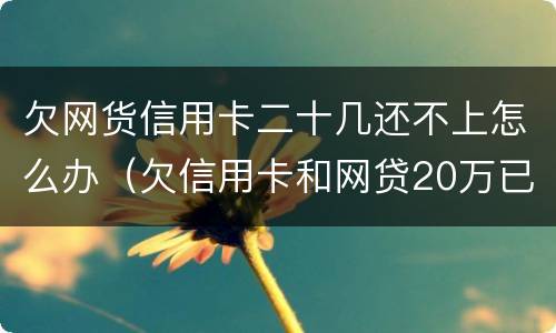 欠网货信用卡二十几还不上怎么办（欠信用卡和网贷20万已经还不动了）