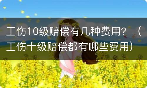 工伤10级赔偿有几种费用？（工伤十级赔偿都有哪些费用）
