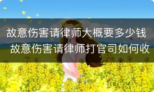 故意伤害请律师大概要多少钱 故意伤害请律师打官司如何收费