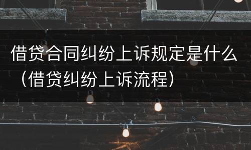 借贷合同纠纷上诉规定是什么（借贷纠纷上诉流程）