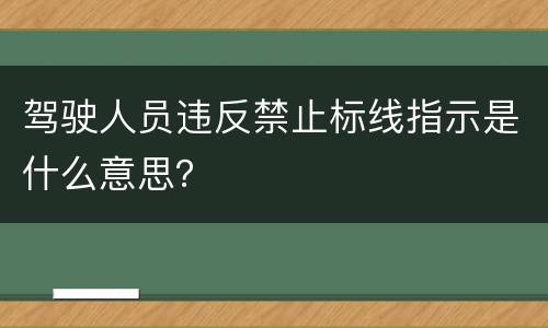 驾驶人员违反禁止标线指示是什么意思？