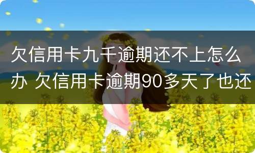 欠信用卡九千逾期还不上怎么办 欠信用卡逾期90多天了也还不上怎么办?