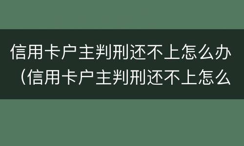 信用卡户主判刑还不上怎么办（信用卡户主判刑还不上怎么办呢）
