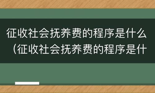 征收社会抚养费的程序是什么（征收社会抚养费的程序是什么意思）