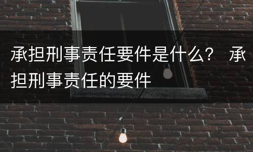 承担刑事责任要件是什么？ 承担刑事责任的要件