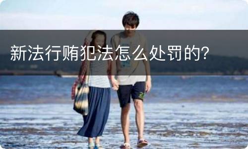 新法行贿犯法怎么处罚的？