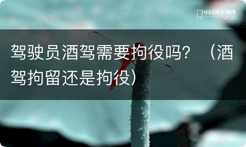 驾驶员酒驾需要拘役吗？（酒驾拘留还是拘役）