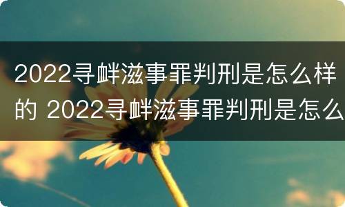 2022寻衅滋事罪判刑是怎么样的 2022寻衅滋事罪判刑是怎么样的案件