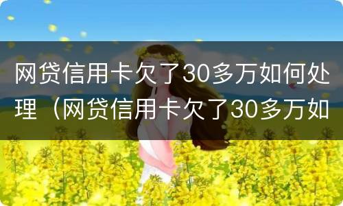 网贷信用卡欠了30多万如何处理（网贷信用卡欠了30多万如何处理最好）