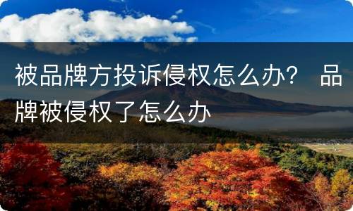 被品牌方投诉侵权怎么办？ 品牌被侵权了怎么办