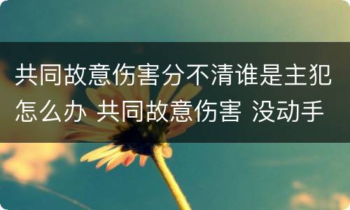 共同故意伤害分不清谁是主犯怎么办 共同故意伤害 没动手