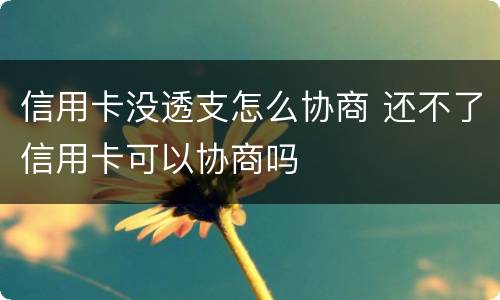 信用卡没透支怎么协商 还不了信用卡可以协商吗