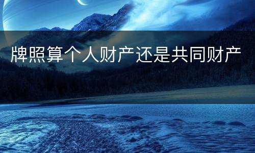 牌照算个人财产还是共同财产