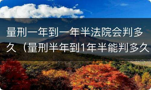 量刑一年到一年半法院会判多久（量刑半年到1年半能判多久）