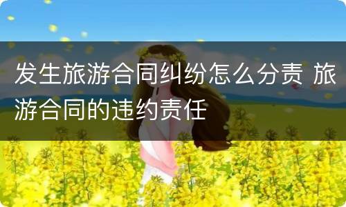 发生旅游合同纠纷怎么分责 旅游合同的违约责任