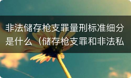非法储存枪支罪量刑标准细分是什么（储存枪支罪和非法私藏枪支罪的区别）