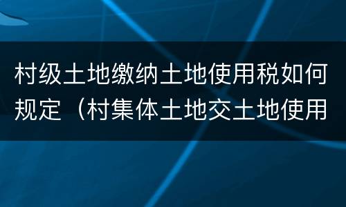 村级土地缴纳土地使用税如何规定（村集体土地交土地使用税吗）