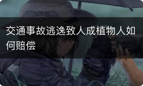 交通事故逃逸致人成植物人如何赔偿