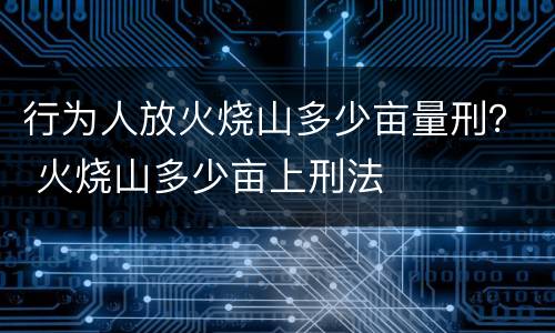 行为人放火烧山多少亩量刑？ 火烧山多少亩上刑法