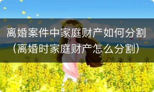 离婚案件中家庭财产如何分割（离婚时家庭财产怎么分割）