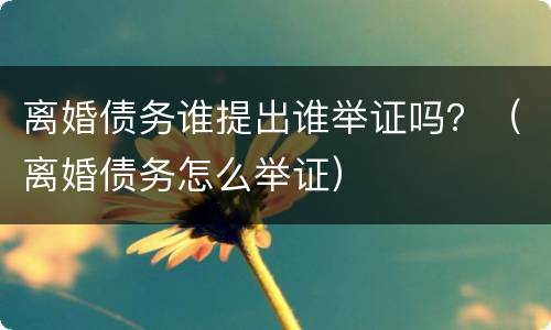 离婚债务谁提出谁举证吗？（离婚债务怎么举证）