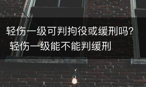 轻伤一级可判拘役或缓刑吗？ 轻伤一级能不能判缓刑