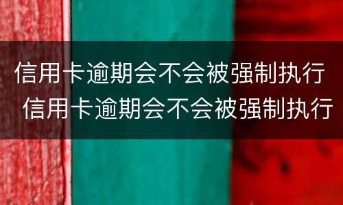 信用卡逾期会不会被强制执行 信用卡逾期会不会被强制执行配偶名下的车