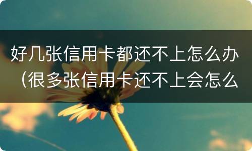 好几张信用卡都还不上怎么办（很多张信用卡还不上会怎么样）