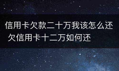 信用卡欠款二十万我该怎么还 欠信用卡十二万如何还