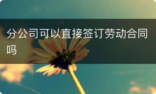 分公司可以直接签订劳动合同吗