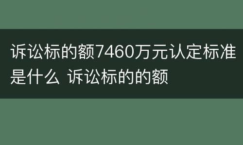 诉讼标的额7460万元认定标准是什么 诉讼标的的额