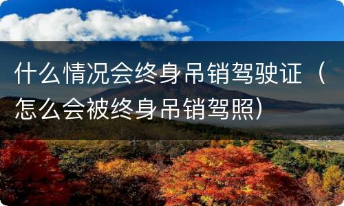 什么情况会终身吊销驾驶证（怎么会被终身吊销驾照）