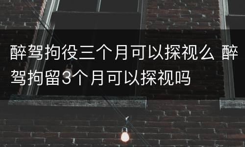 醉驾拘役三个月可以探视么 醉驾拘留3个月可以探视吗