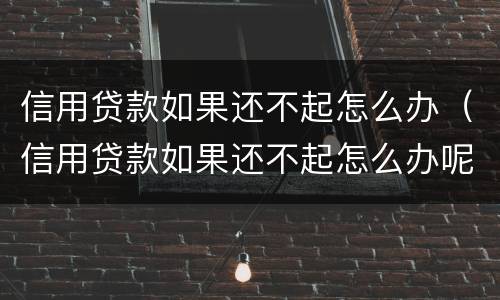 信用贷款如果还不起怎么办（信用贷款如果还不起怎么办呢）