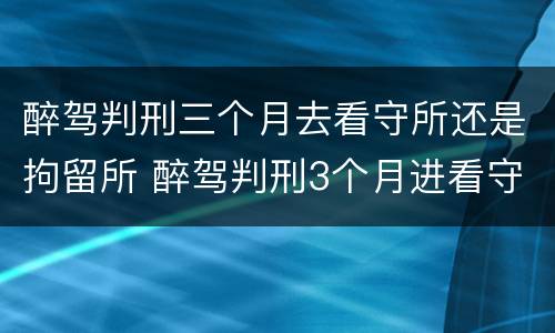 醉驾判刑三个月去看守所还是拘留所 醉驾判刑3个月进看守所可以探视吗