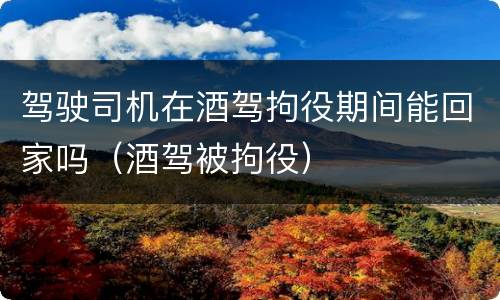 驾驶司机在酒驾拘役期间能回家吗（酒驾被拘役）
