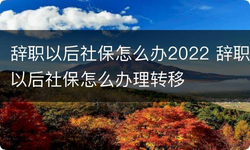 辞职以后社保怎么办2022 辞职以后社保怎么办理转移