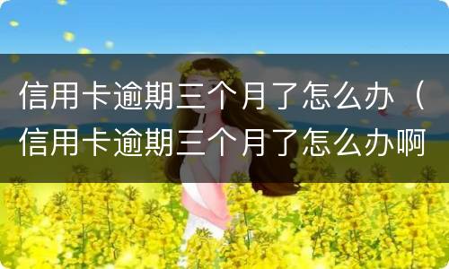 信用卡逾期三个月了怎么办（信用卡逾期三个月了怎么办啊）