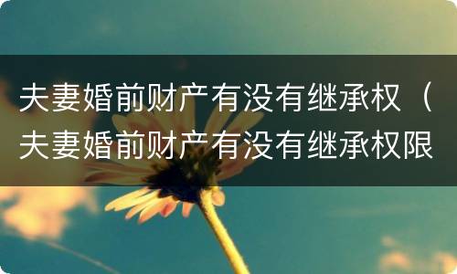 夫妻婚前财产有没有继承权（夫妻婚前财产有没有继承权限）
