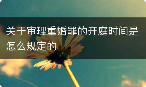 关于审理重婚罪的开庭时间是怎么规定的