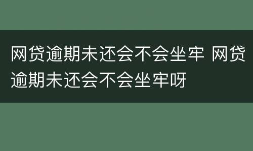 网贷逾期未还会不会坐牢 网贷逾期未还会不会坐牢呀