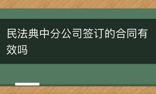 民法典中分公司签订的合同有效吗